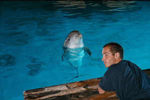 グラン・ブルー