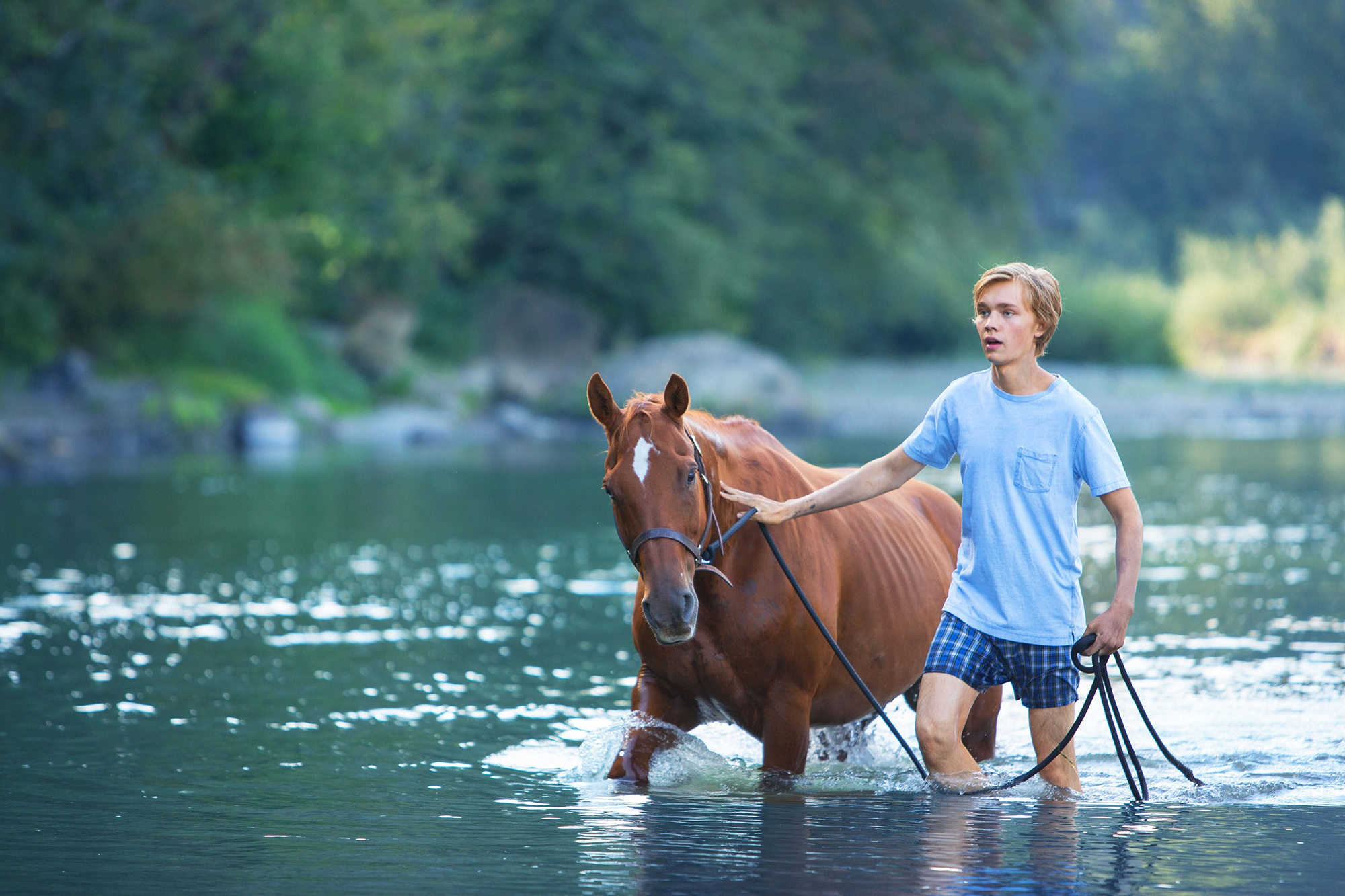 荒野にて(Lean on Pete)