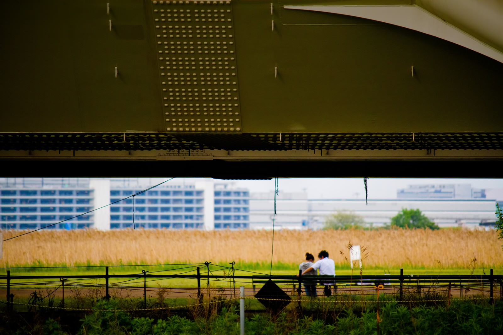 青春映画